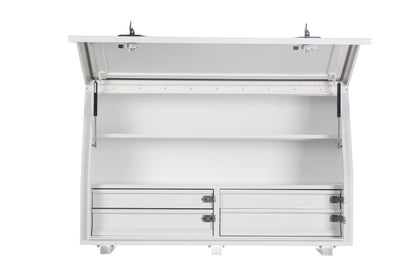 1360 Series - 4 DRAWERS (2 Side By Side) & 2 SHELVES
